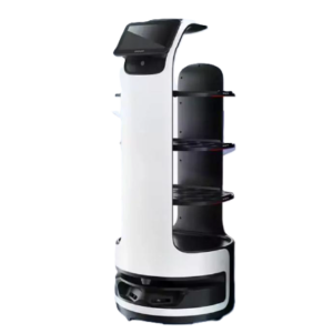 Robot de reparto de comida D1
