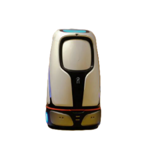 Intelligent delivery robot