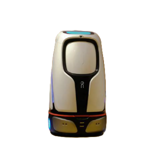 Intelligent delivery robot