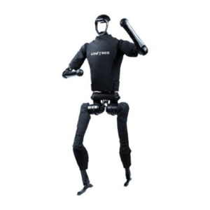 H1